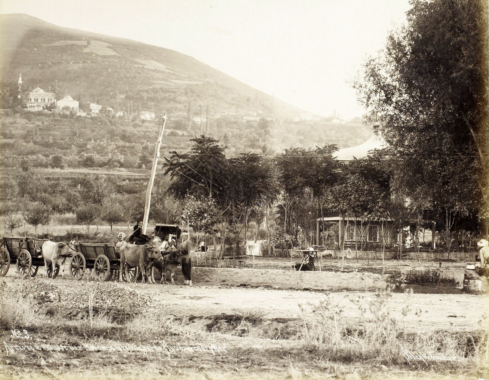 Acemler'den Çekirge, 1890.